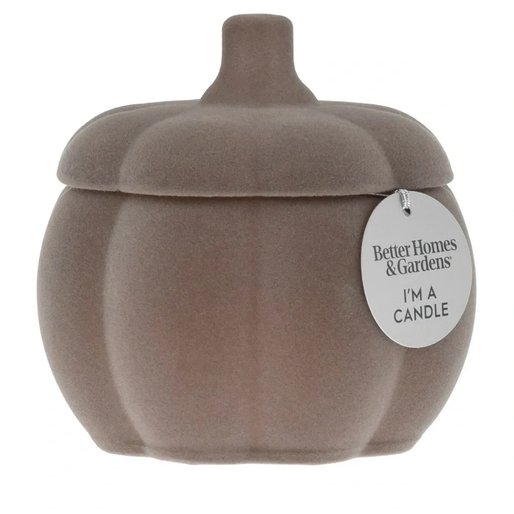 Better Homes & Gardens Pumpkin Snickerdoodle Swirl Scent Flocked Candle Lot Of 2